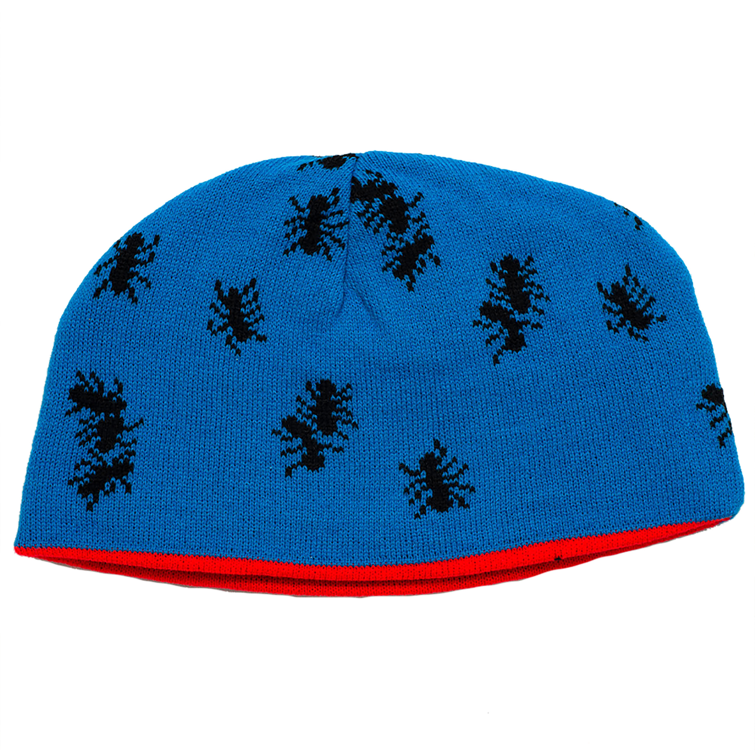 ANT REVERSIBLE BEANIE — Carpet Company